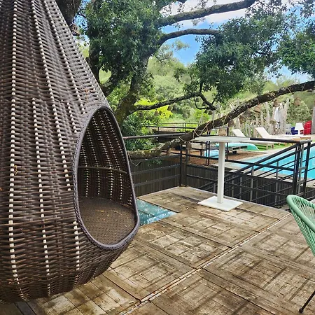 Charming In The Heart Of The Mediterranean Garrigue Villa *