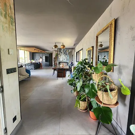 Villa Charming In The Heart Of The Mediterranean Garrigue