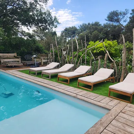 Charming In The Heart Of The Mediterranean Garrigue Villa